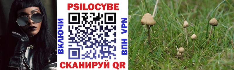 Галлюциногенные грибы Psilocybine cubensis  Купить  Карпинск 